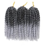 Codite de par Afro Marley de 20 cm 004 Ombre Crochet Braids Brunet-Gray Ombre